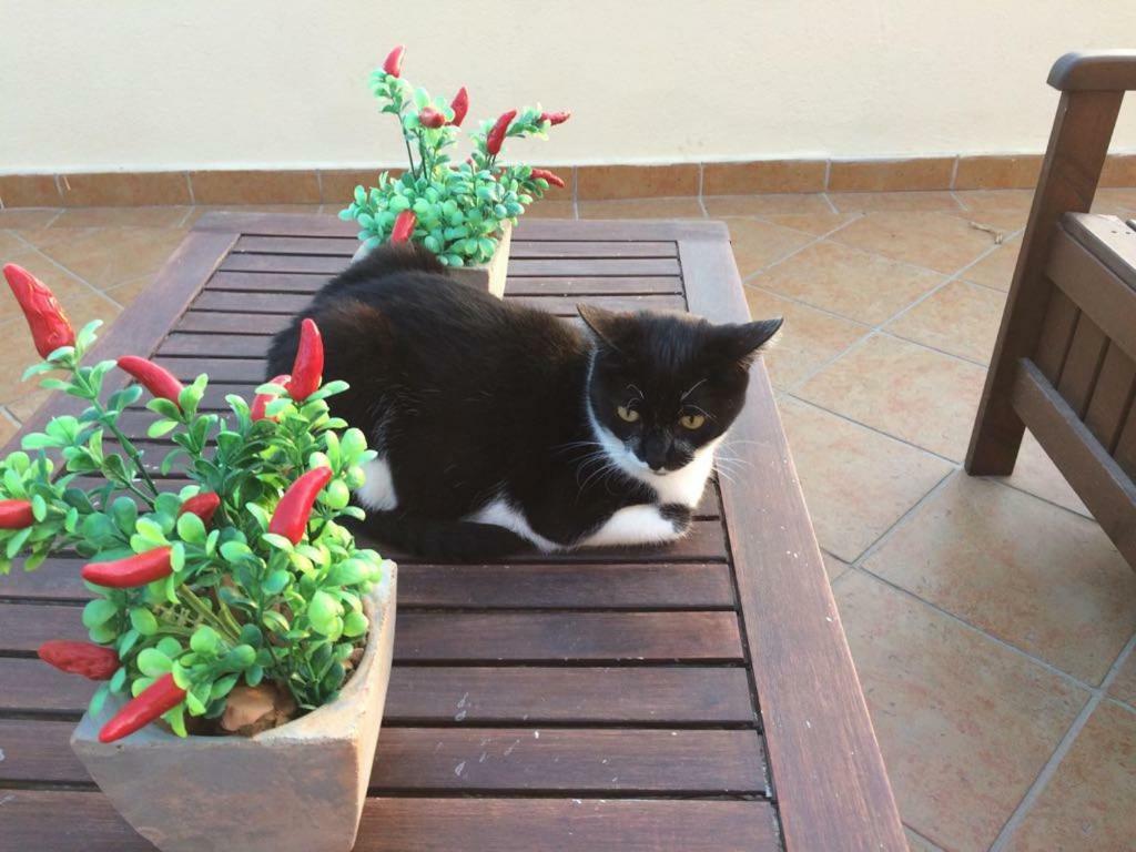 B&B Villa Sul Golfo Quartu SantʼElena Εξωτερικό φωτογραφία