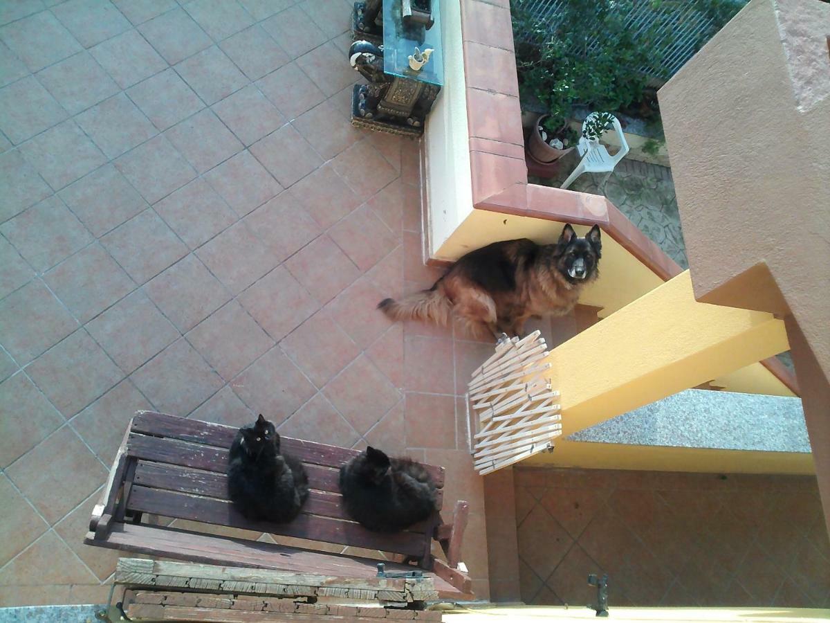B&B Villa Sul Golfo Quartu SantʼElena Εξωτερικό φωτογραφία