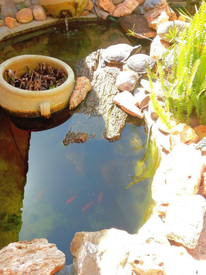 B&B Villa Sul Golfo Quartu SantʼElena Εξωτερικό φωτογραφία